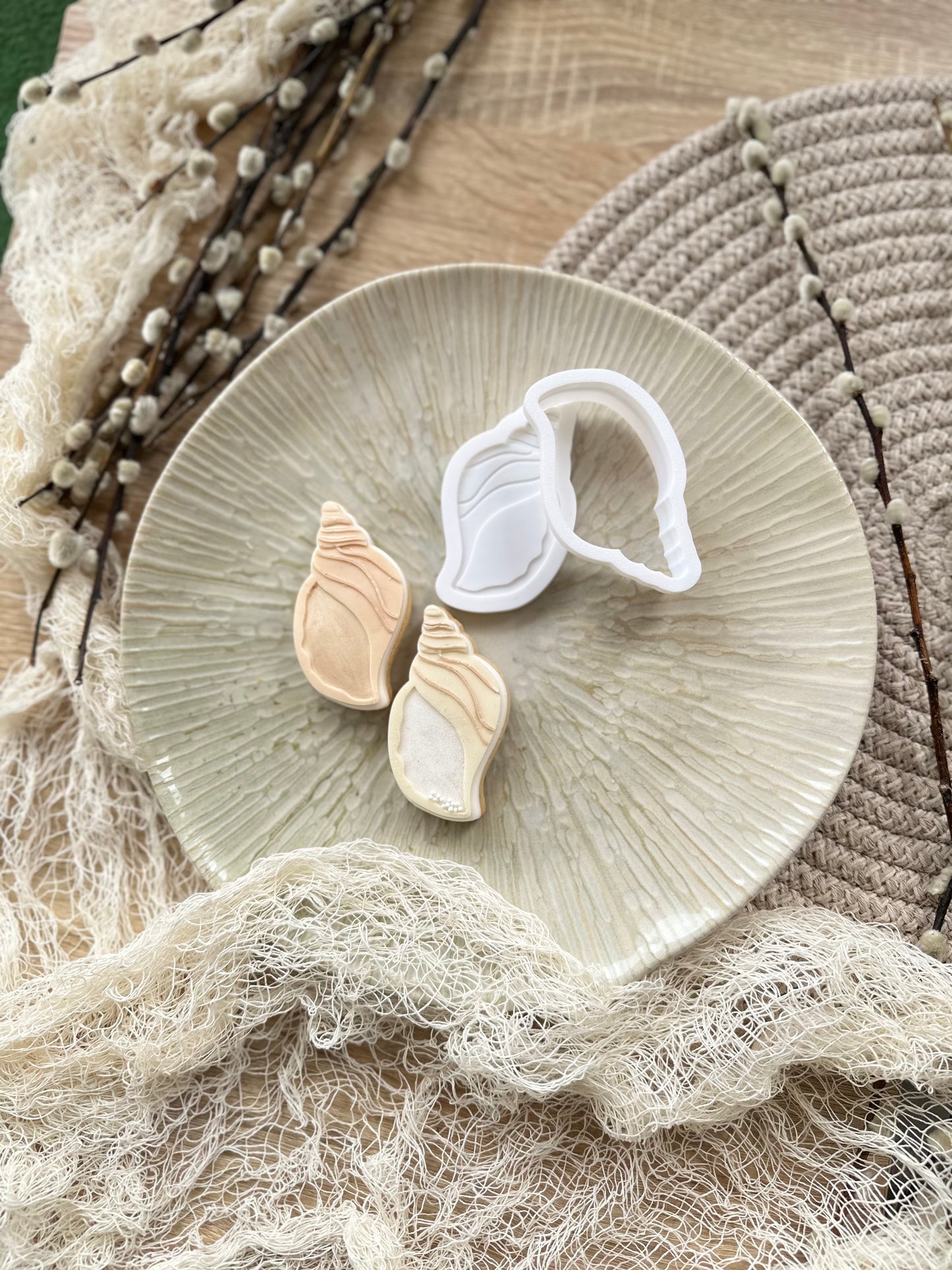 Coquillage #1