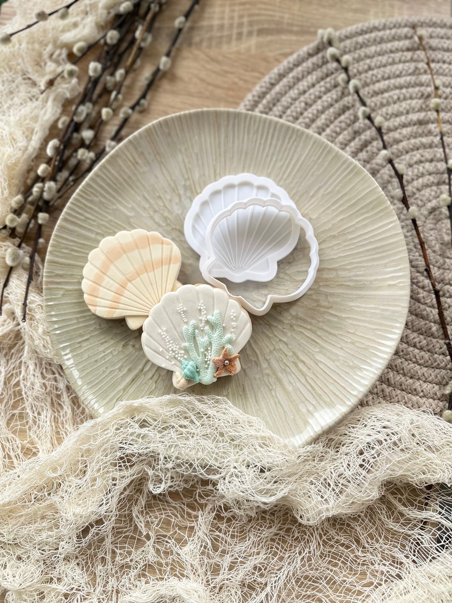 Coquillage #2